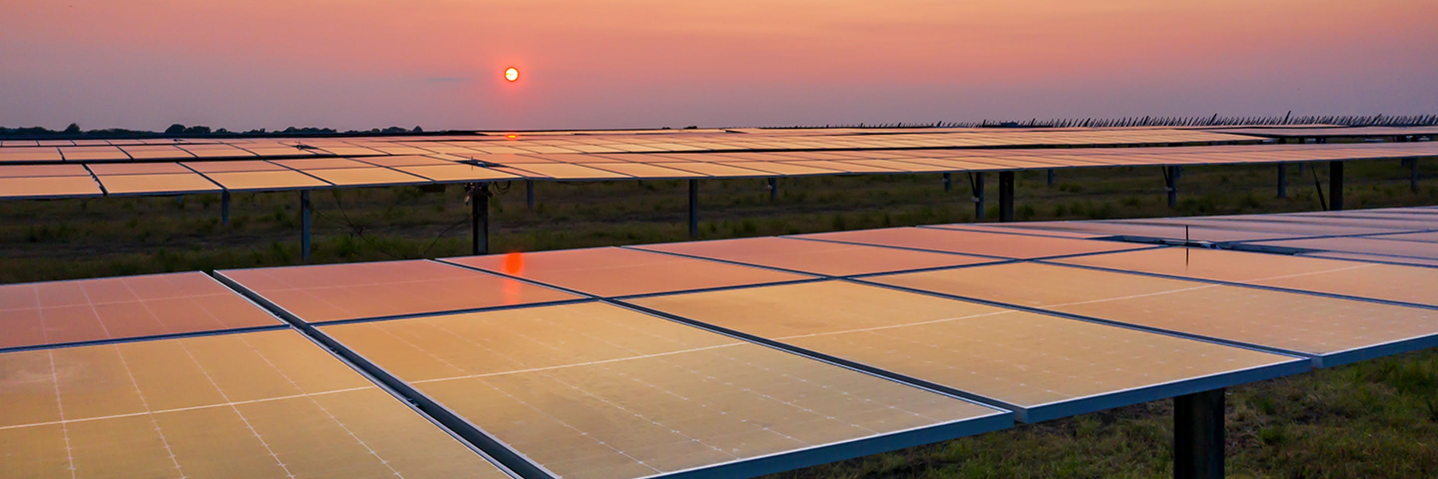 One of the largest solar facilities in the United States will power the sustainability goals of project partners – ranging from a university to Fortune 100 companies.